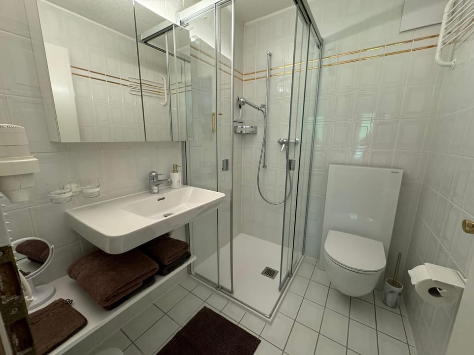 Studio Blitzingen, Castle A1 Apartment in Canton of Valais