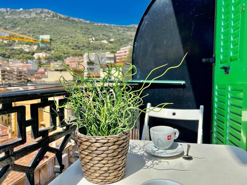 one bedroom appartment nice View near Monaco House in Monaco