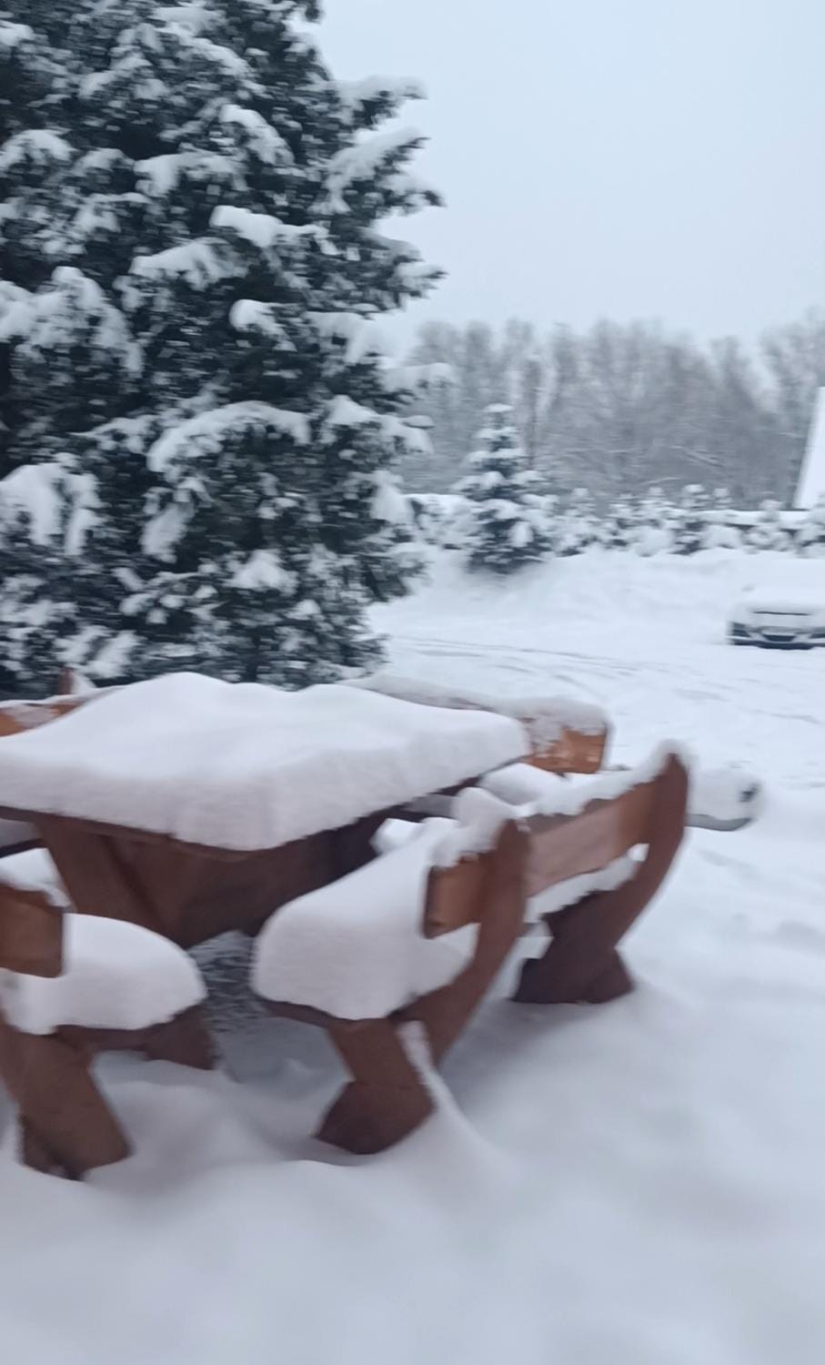 Winter, Garden