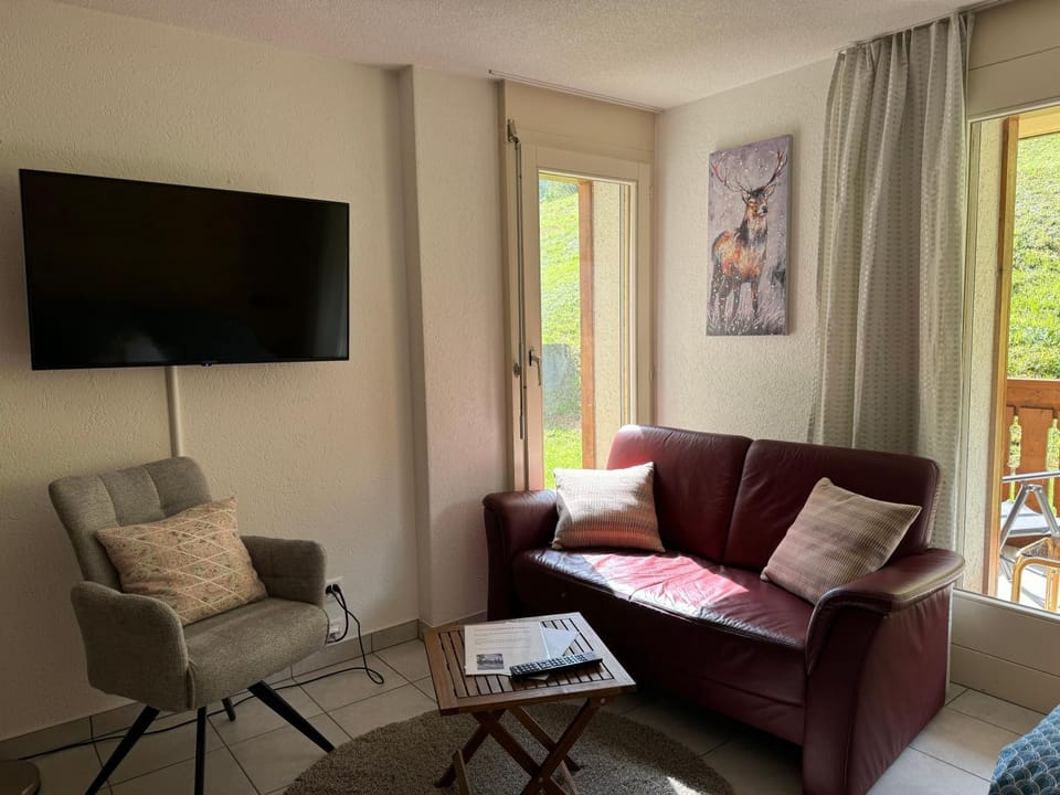 Studio Blitzingen, Castle B1 Apartment in Canton of Valais