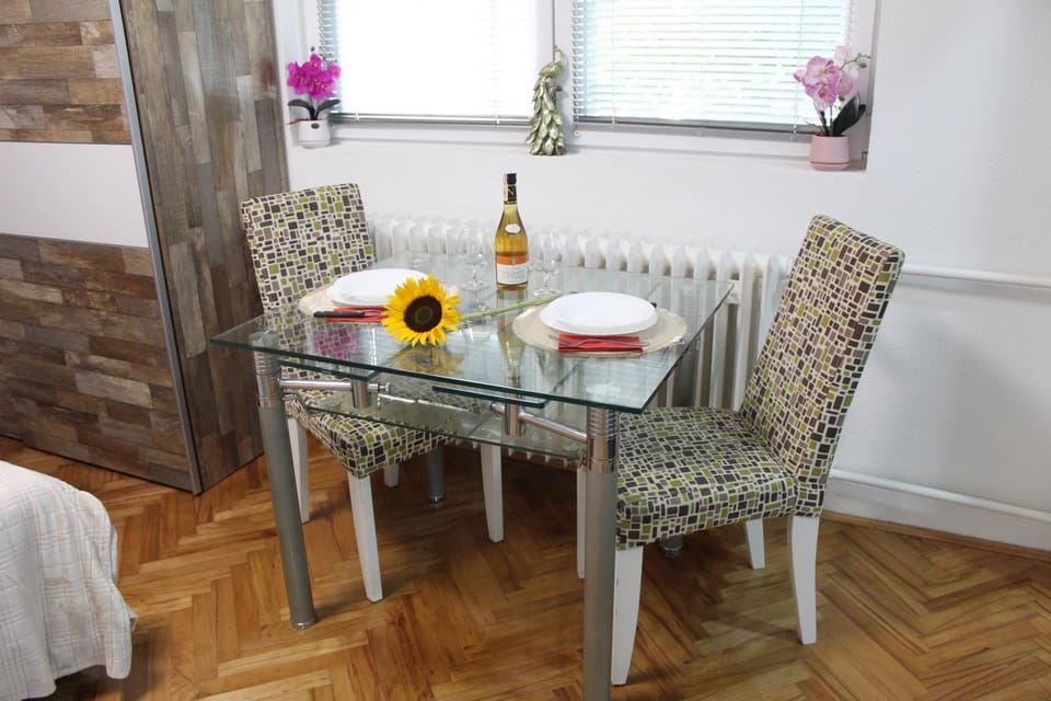 Zara Lux Apartment in Serbia