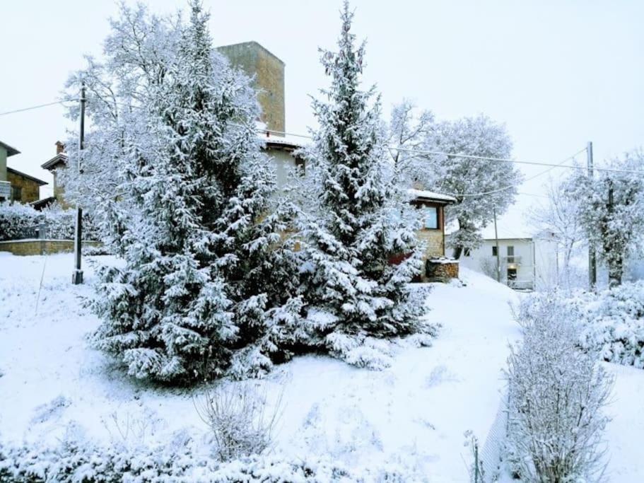 La casina-Maisonette House in Emilia-Romagna