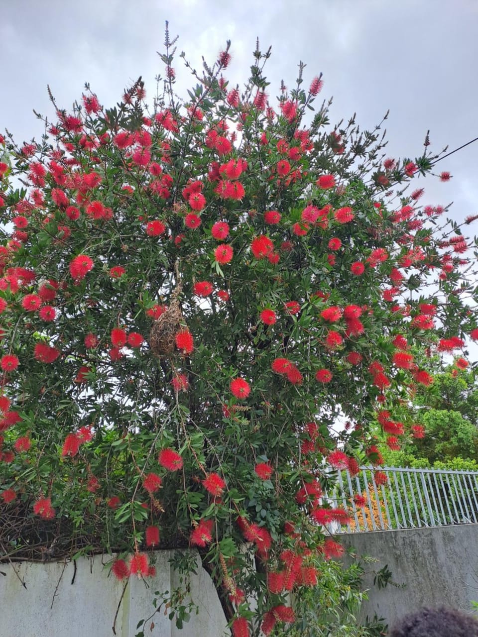 Imani Guest House Bed and Breakfast in Eastern Cape