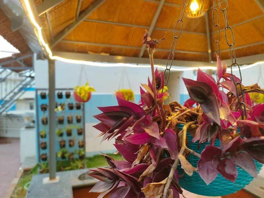 Anjani Suta Home stay Villa in Bengaluru