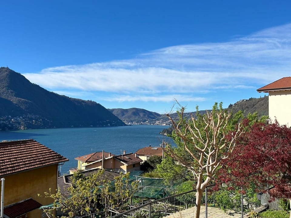Garden, Lake view