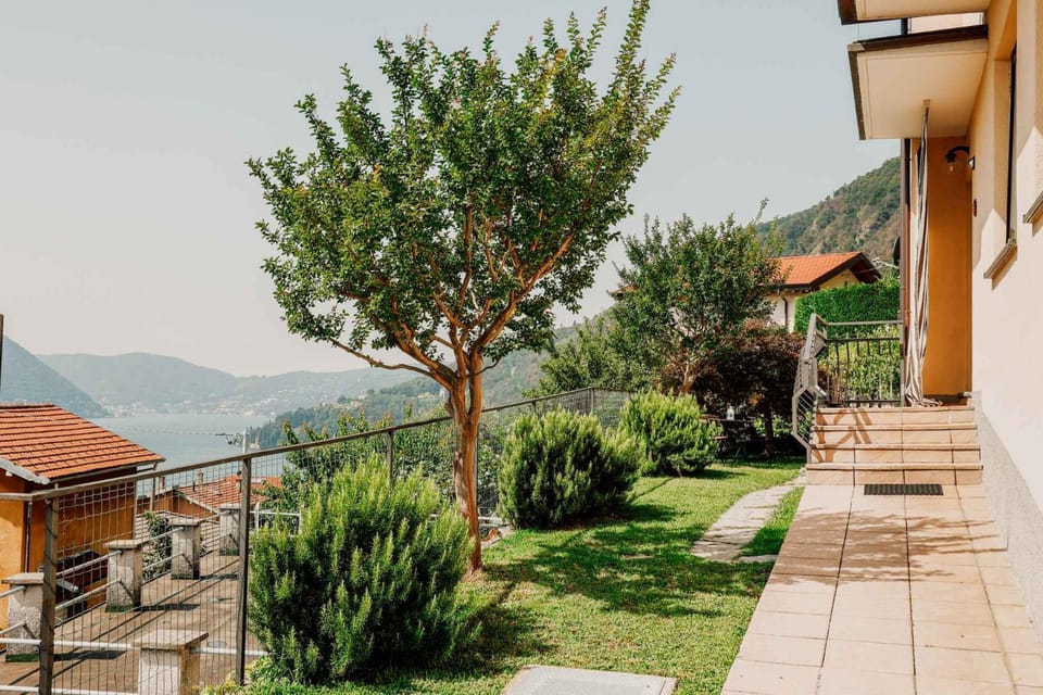 Garden, Garden view, Mountain view