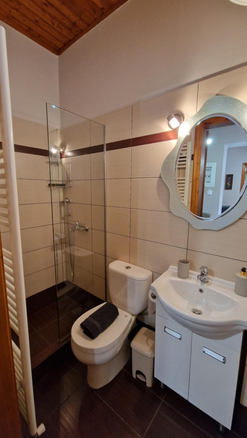 Toilet, Bathroom, bidet