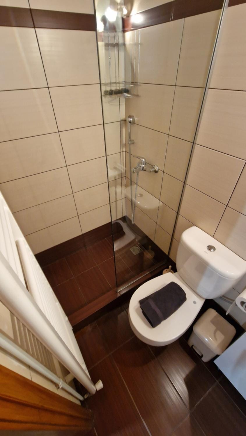 Toilet, Bathroom, bidet, towels