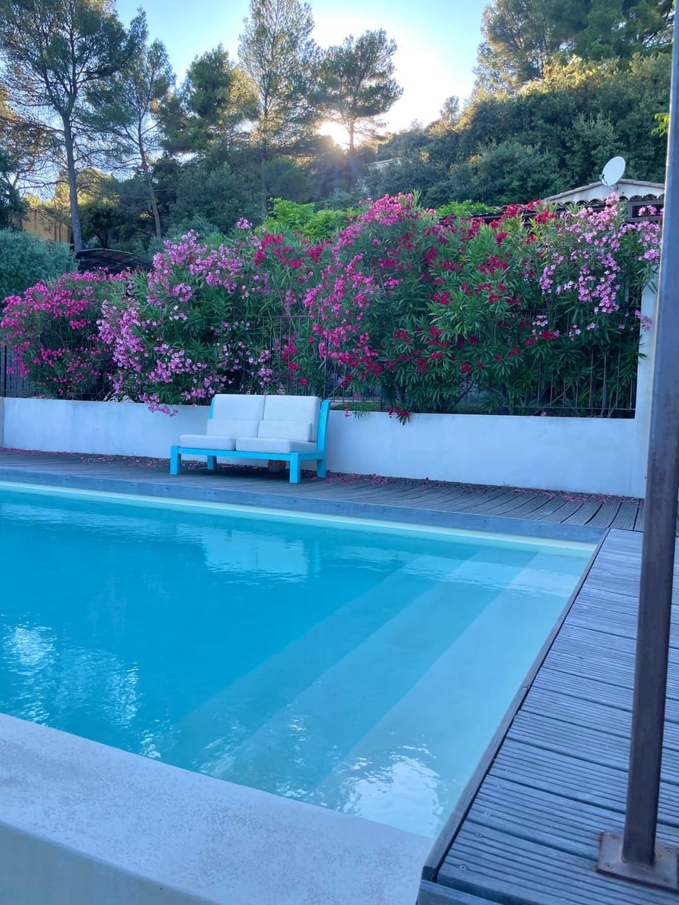 Garden, Swimming pool
