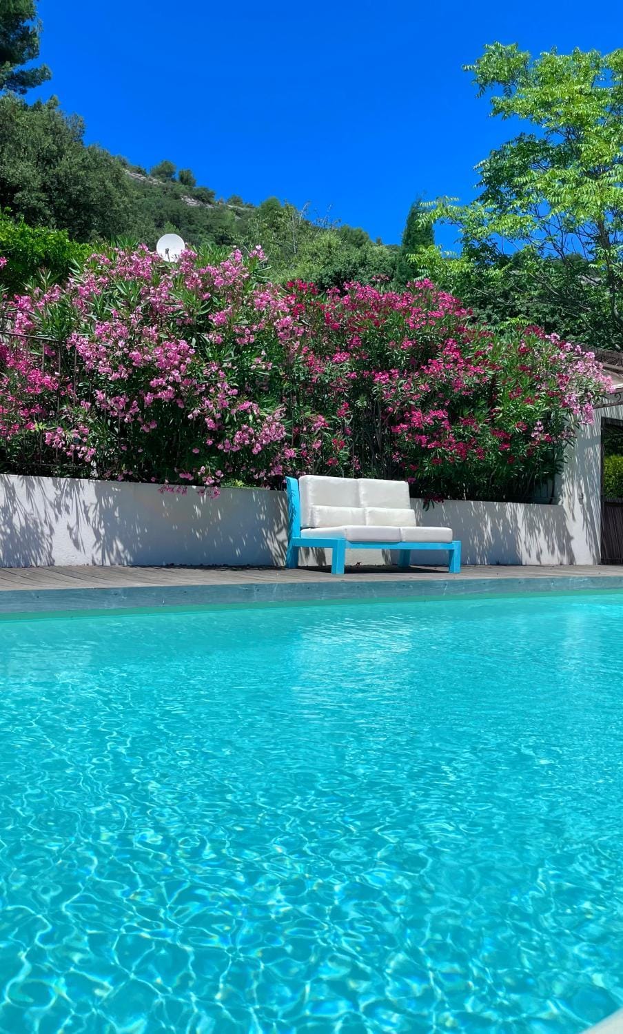 Day, Garden, Pool view, Swimming pool, sunbed