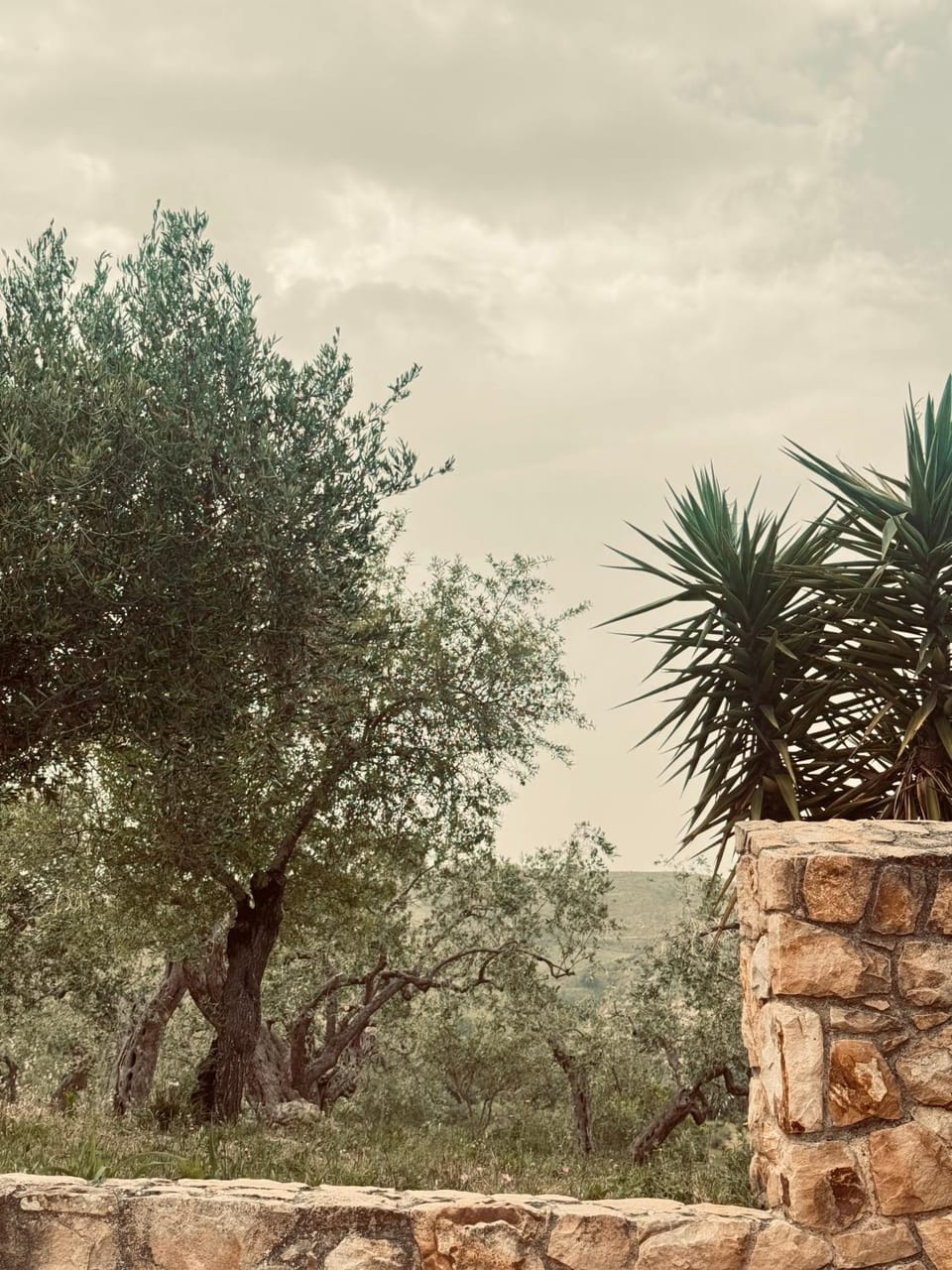 Villa Cattleya House in Sicily