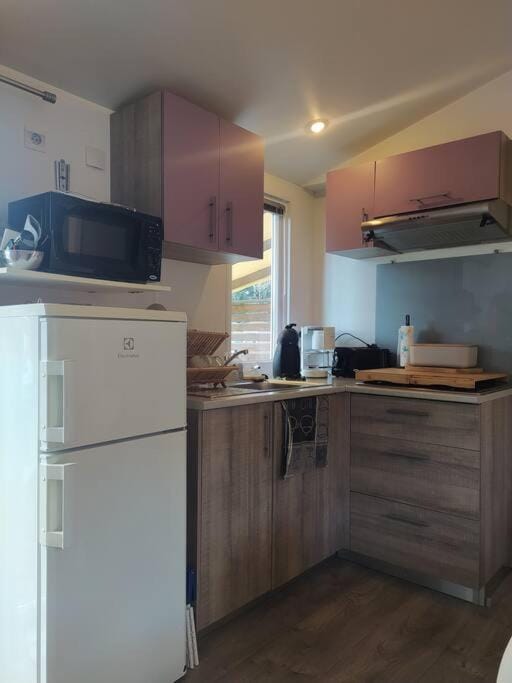 Kitchen or kitchenette, minibar, stove