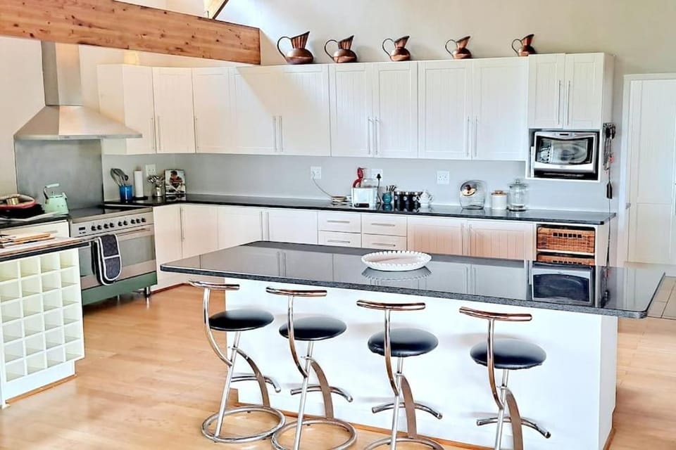 Kitchen or kitchenette, dishwasher, oven, stove, toaster