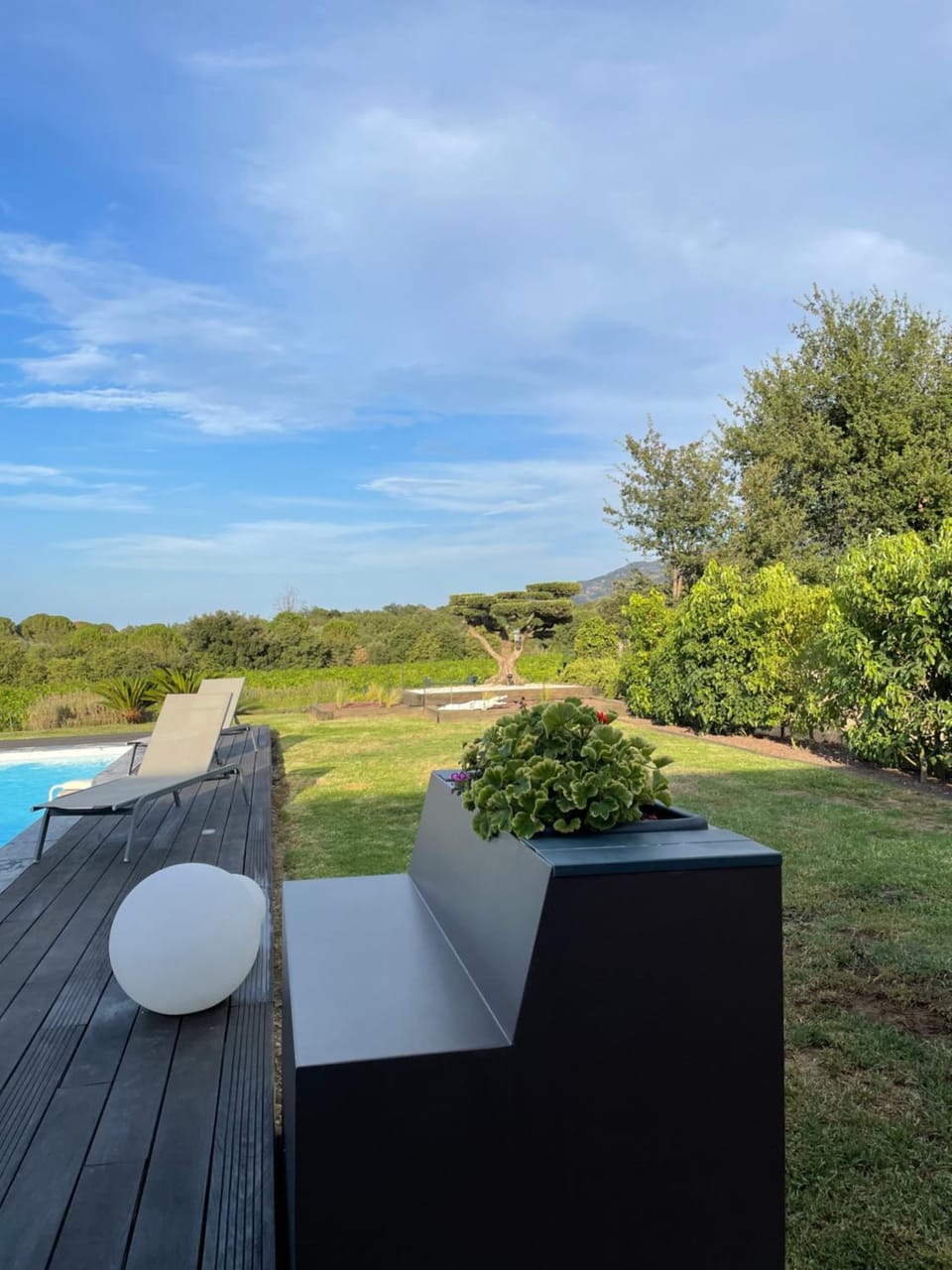 Garden, Pool view, Swimming pool, sunbed