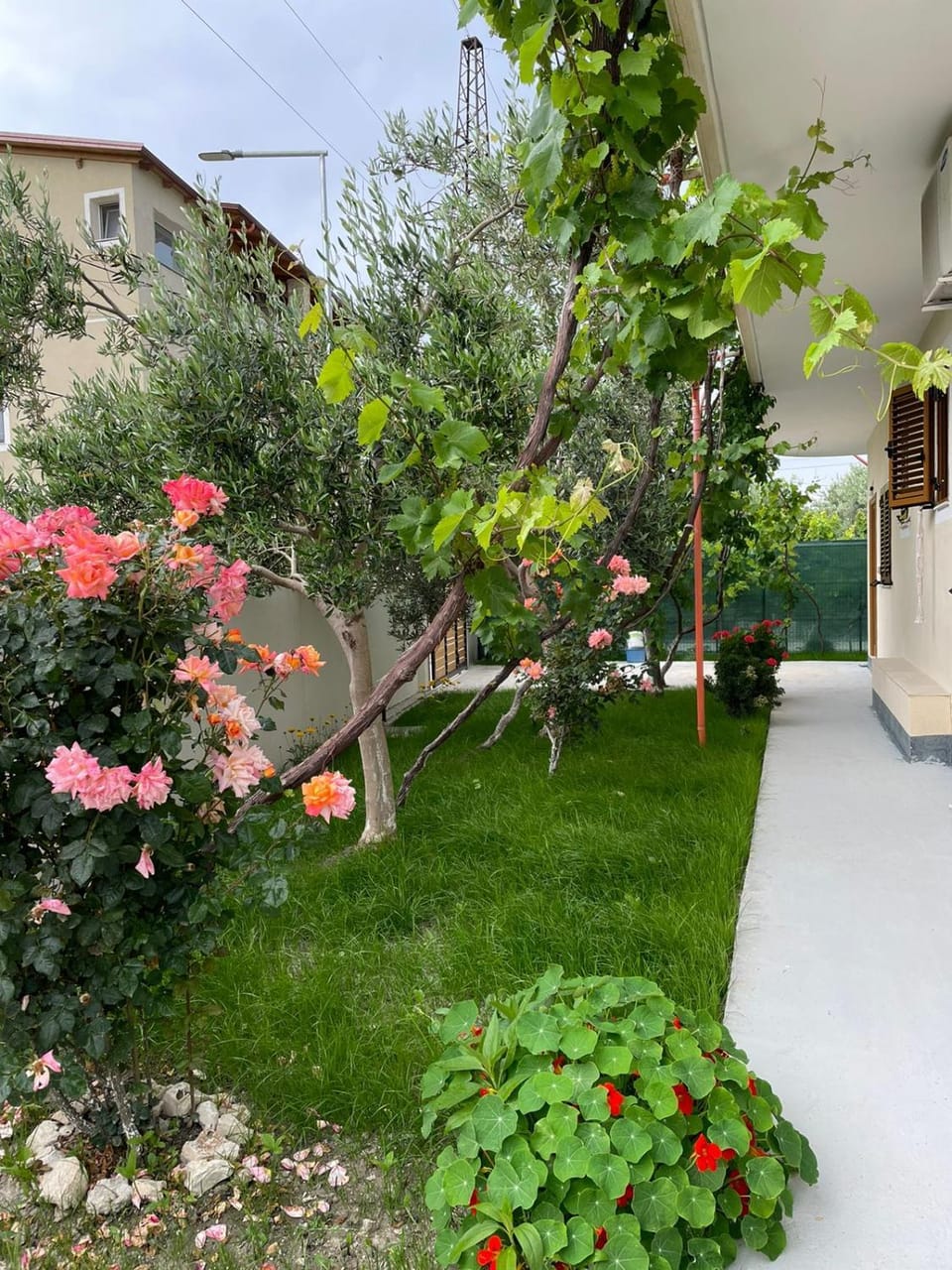 Natural landscape, Garden, Garden view