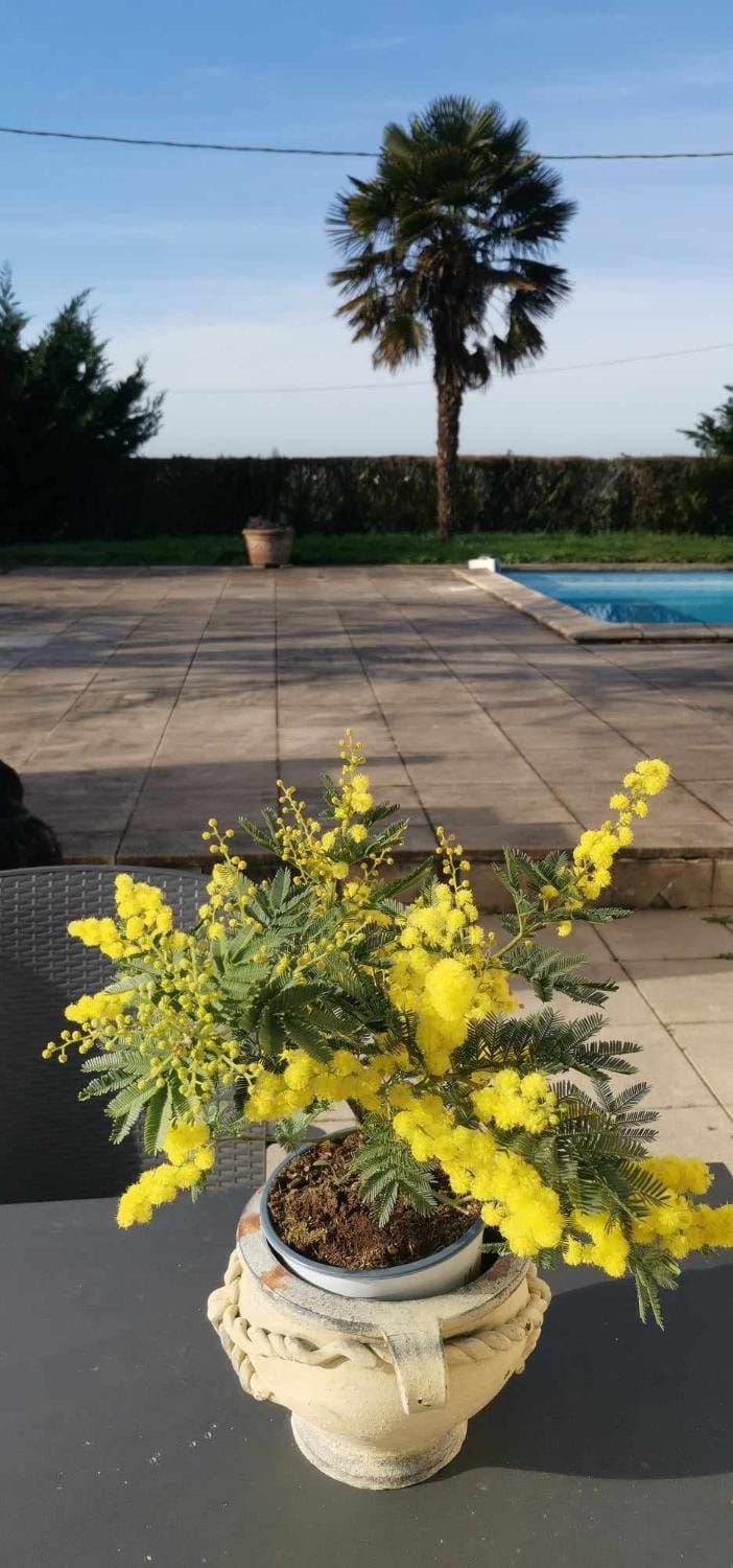 Chambres d'hôtes des Princes de Bel Air Bed and Breakfast in Loudun