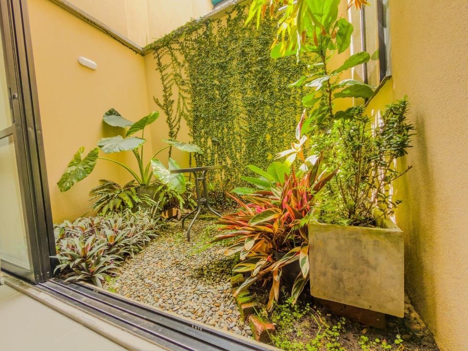 Spring, Day, Garden, Garden view