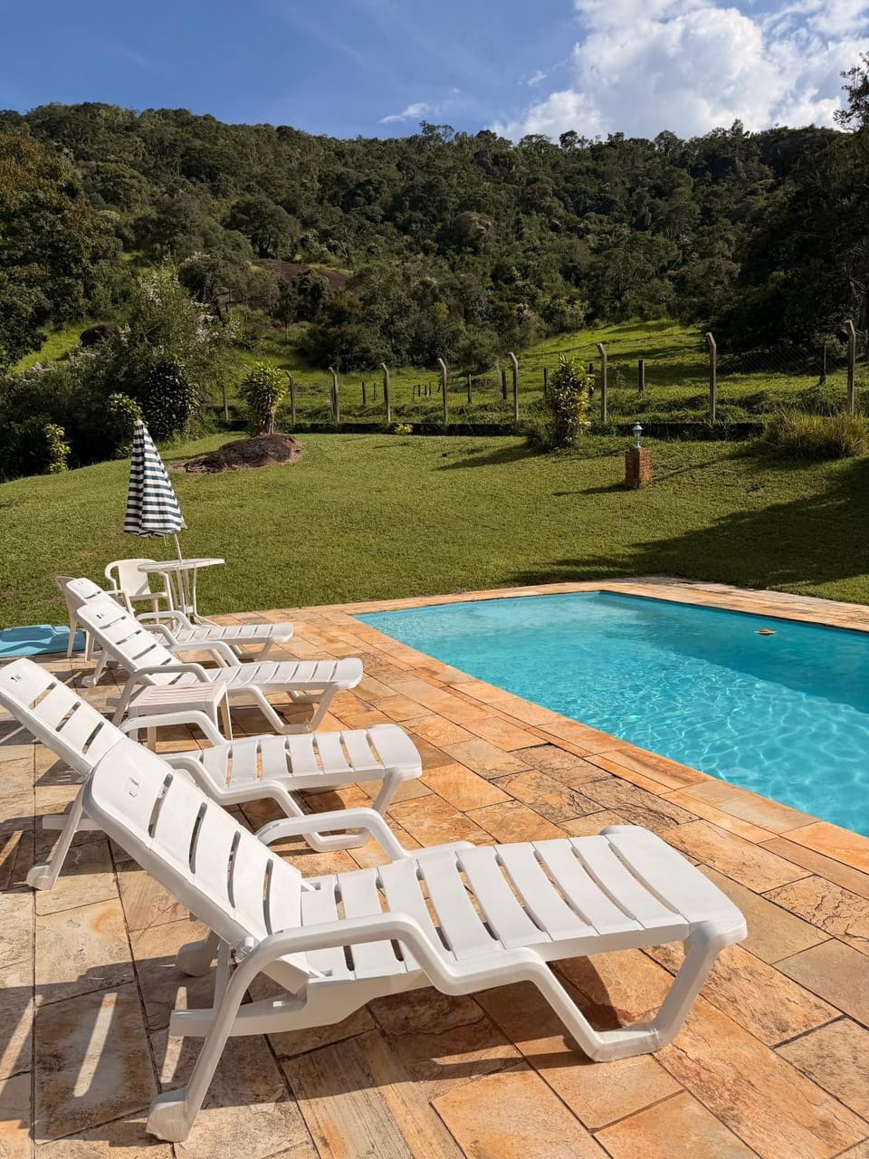 Natural landscape, Pool view, Swimming pool, sunbed