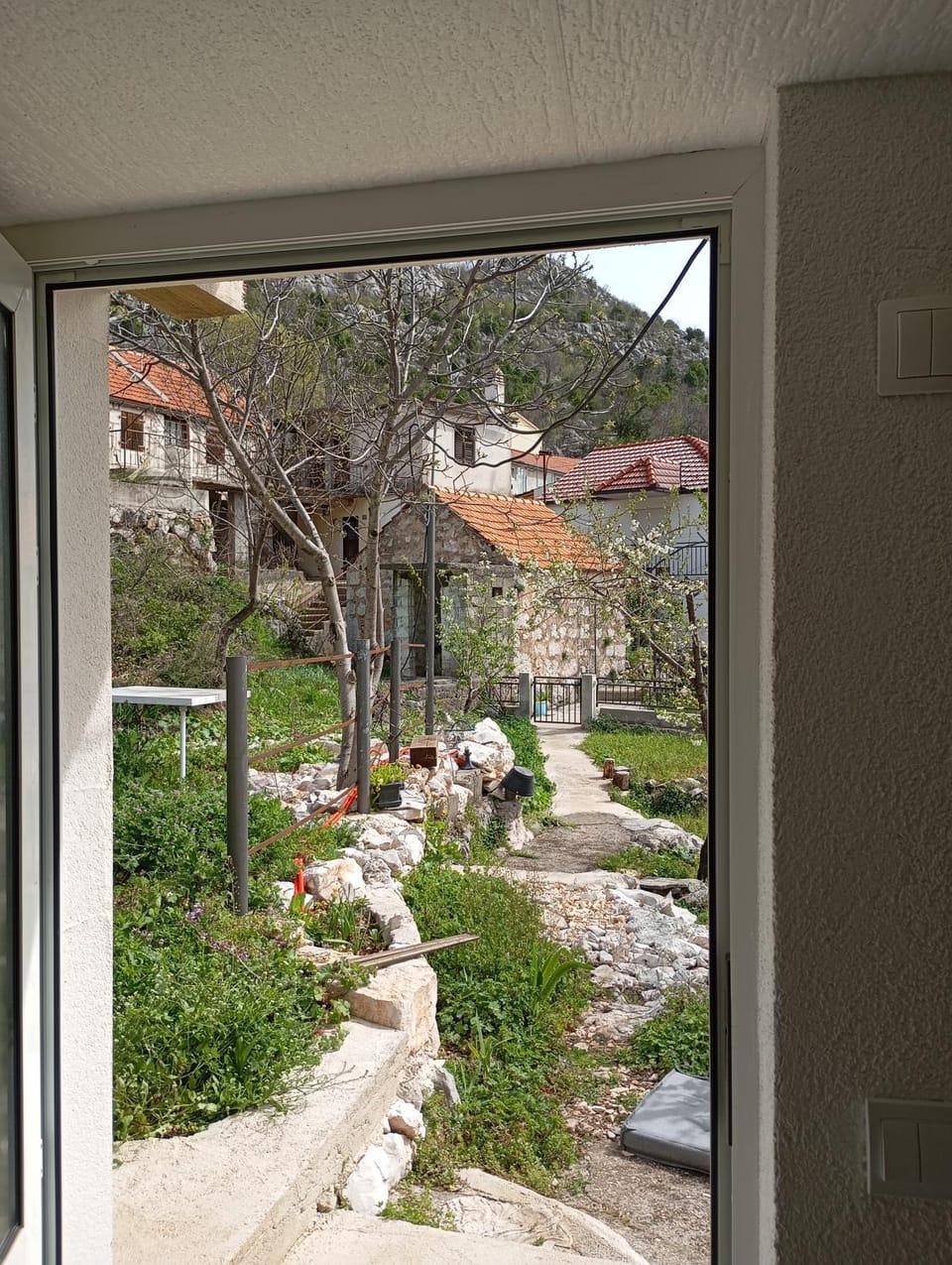 Garden view