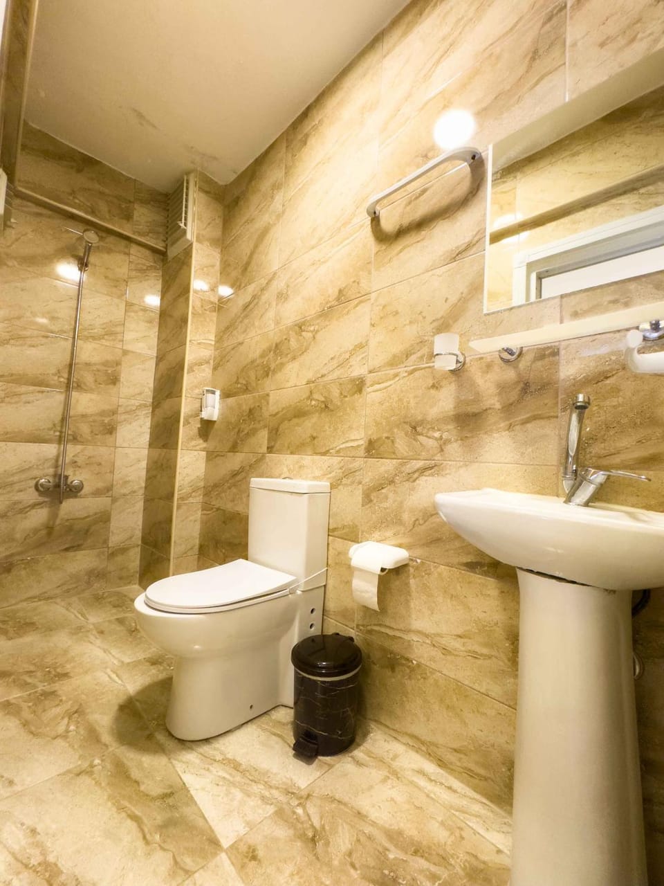 Shower, Toilet, Bathroom, bidet