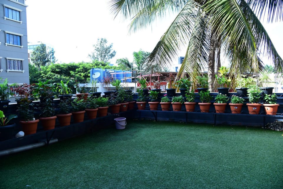 Garden, Garden view