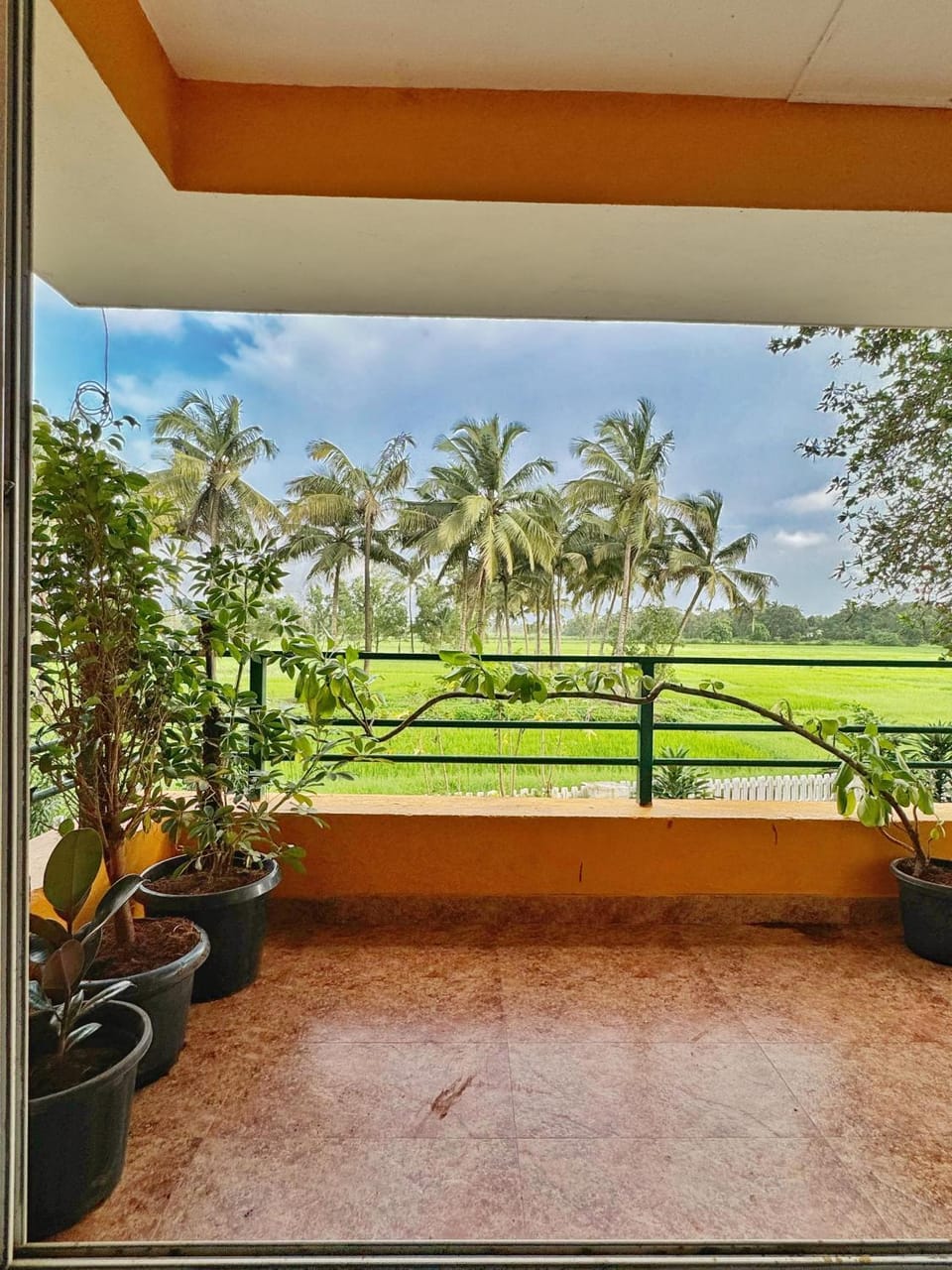 Balcony/Terrace
