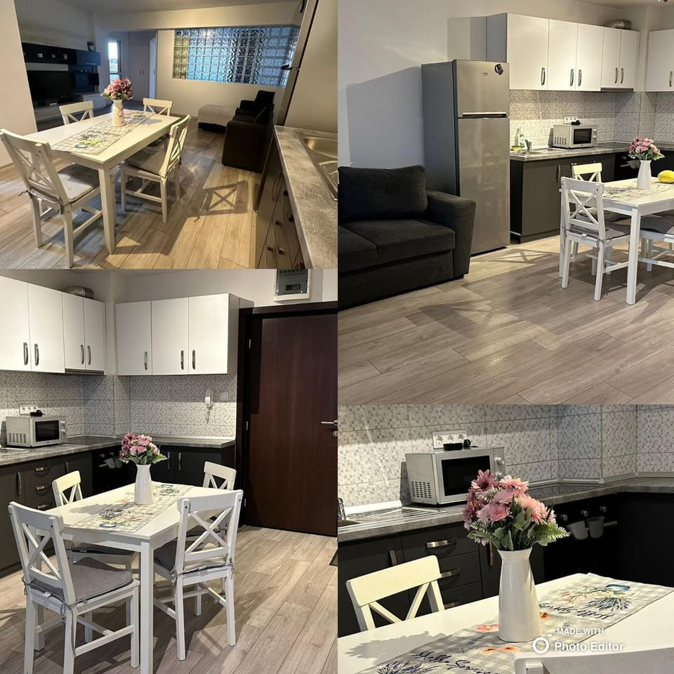 Yvett Studio 2 Apartment in Brașov County