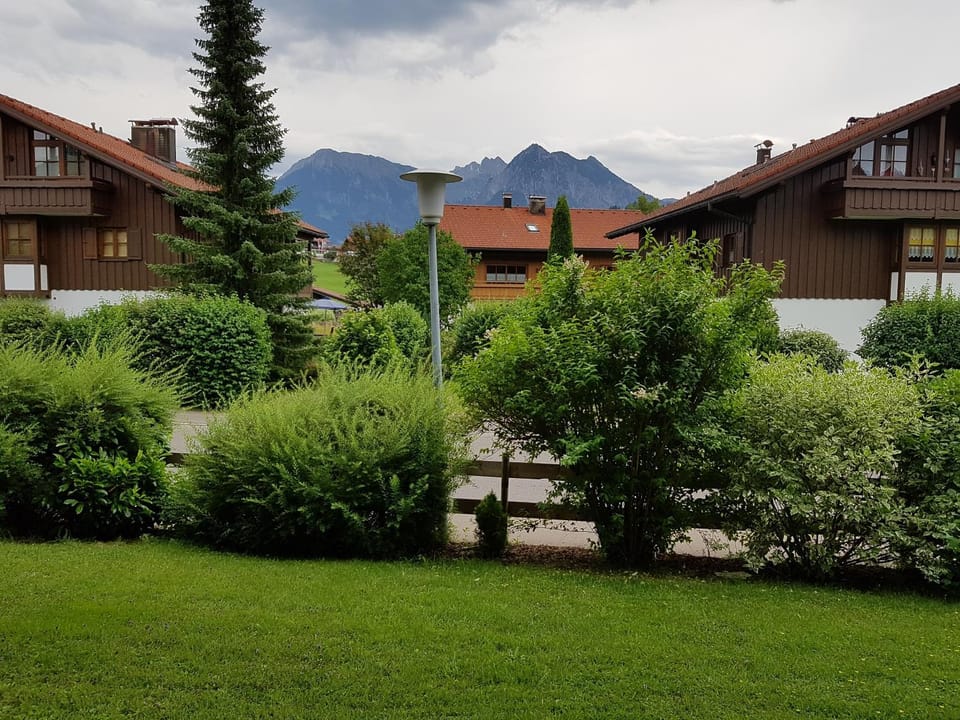 Natural landscape, Garden, Garden view