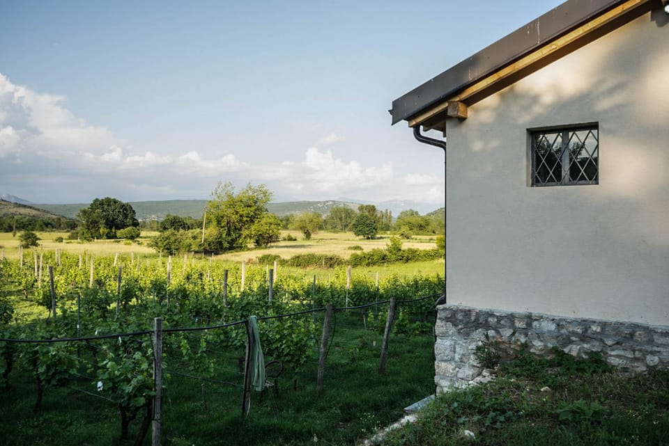 Day, Natural landscape, Garden, Location