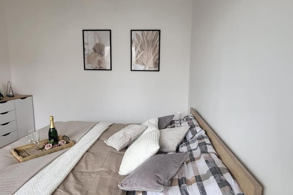 Útulný byt v centru města Apartment in Czechia