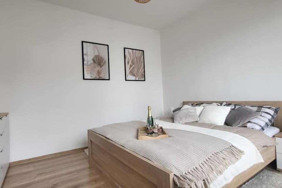 Útulný byt v centru města Apartment in Czechia