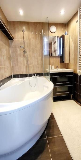 Útulný byt v centru města Apartment in Czechia