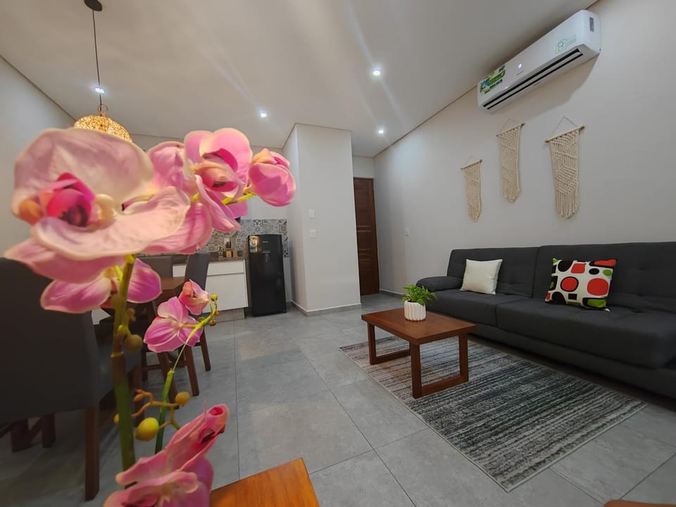 Living room, kitchen