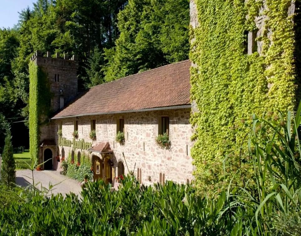 Property building, Spring, Day, Garden, Garden view