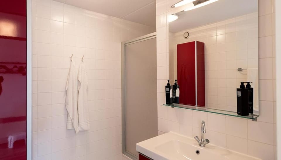 Waddenzicht 71 Ameland - tolle FerienwWohnung mit großer Dachterrasse für bis zu 4 Personen - Haustiere herzlich willkommen, strandnah Apartment in Friesland, Netherlands