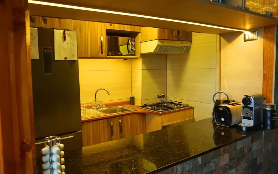 Kitchen or kitchenette, minibar, stove, toaster