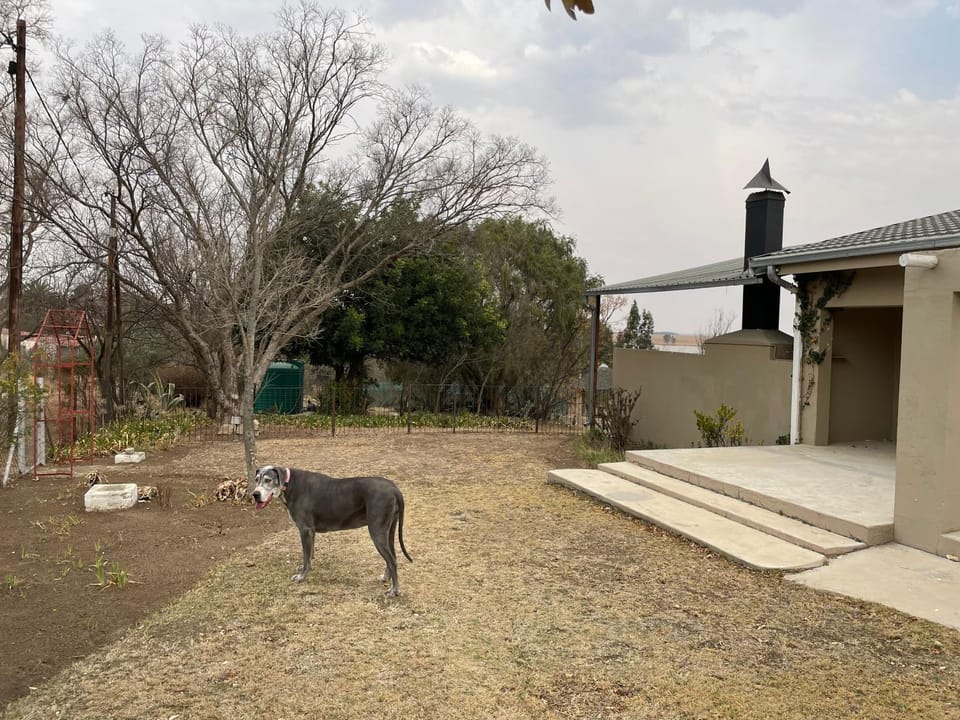 Vaaldam @ Sgt Pepper’s Holiday Home House in North West, South Africa