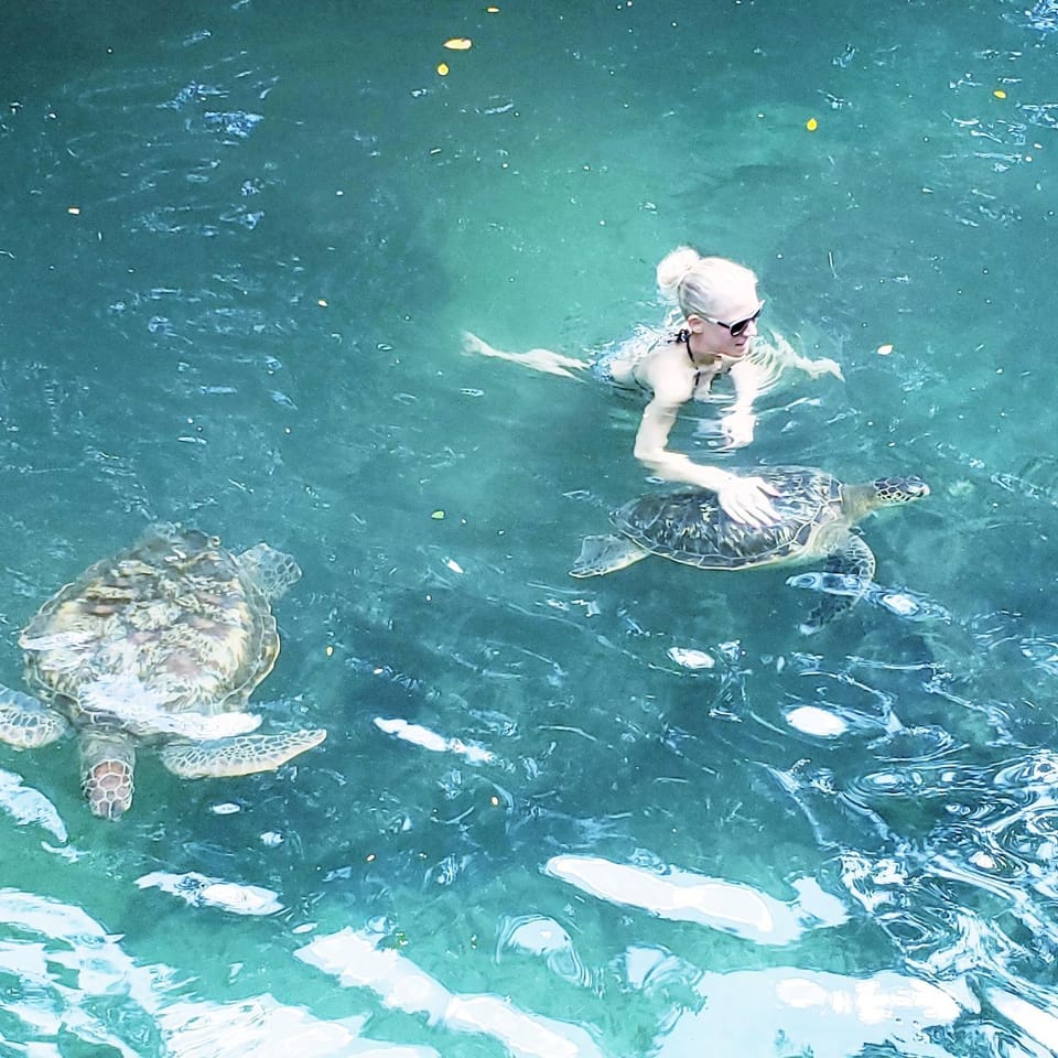Baraka Aquarium Bungalows Bed and Breakfast in Unguja North Region