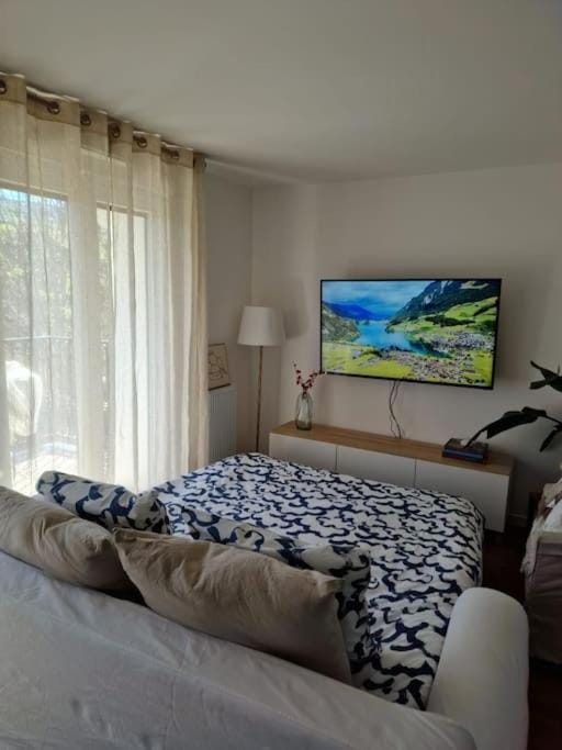 Communal lounge/ TV room, TV and multimedia, Living room