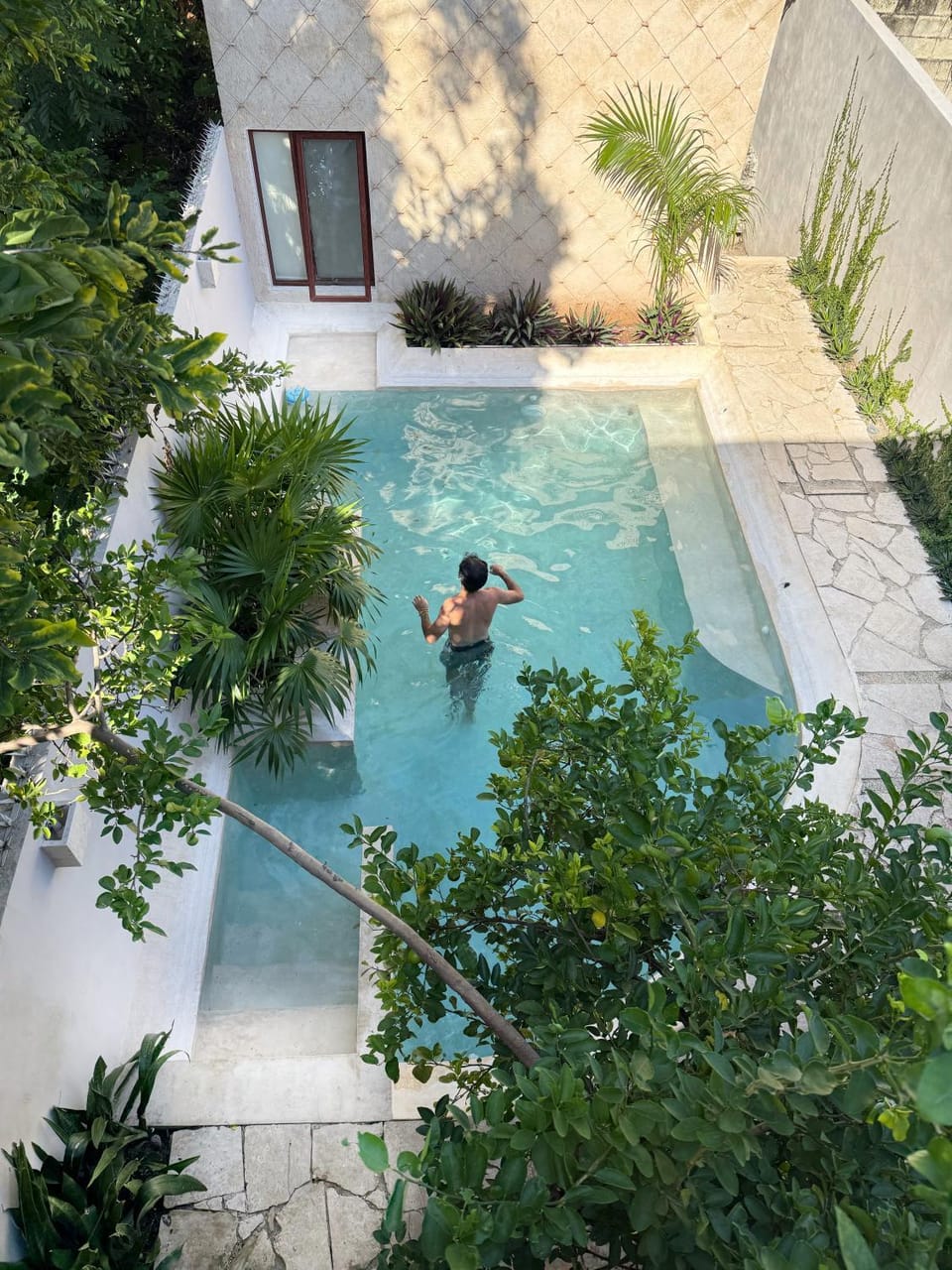 Garden, Pool view, Swimming pool