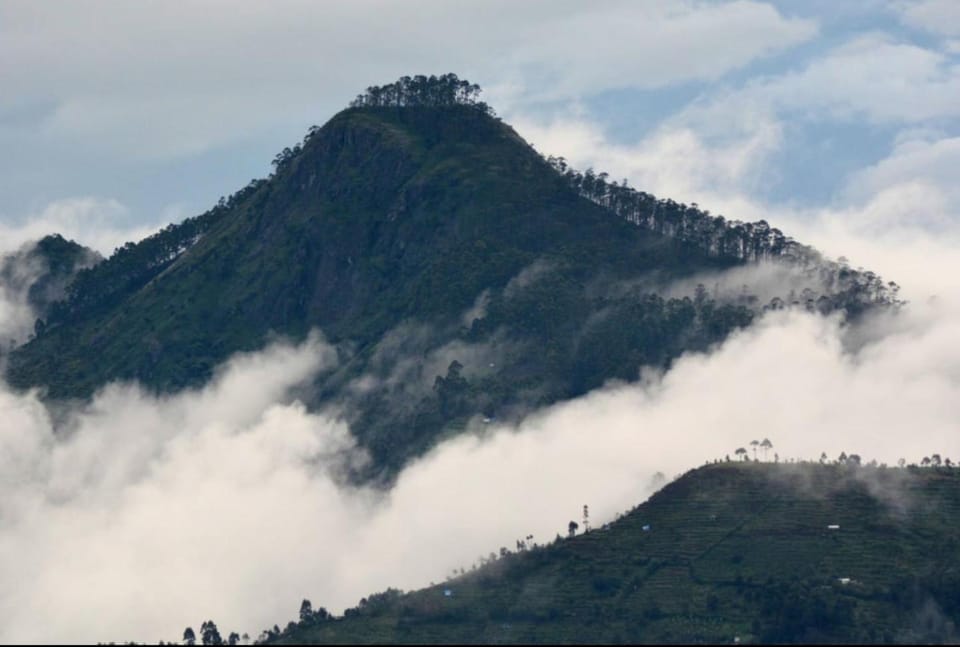 Sky High Villa Annex Villa in Kodaikanal
