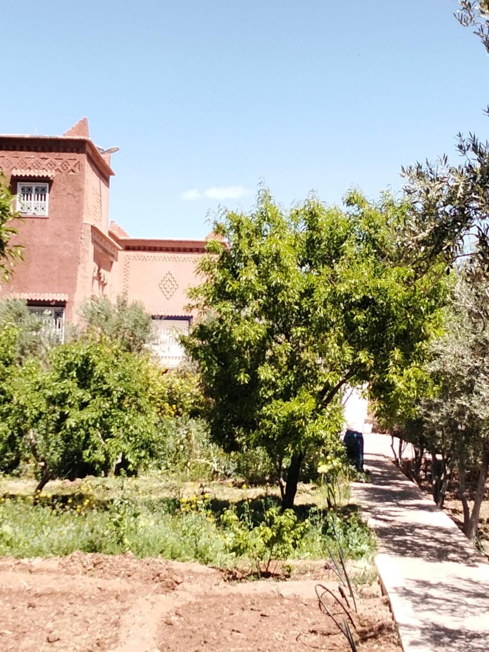 Gîte chez l'habitant amazigh Country House in Morocco