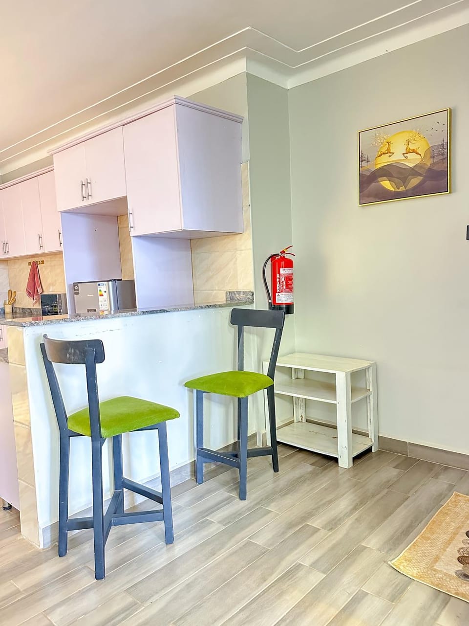 2 Bedroom Spaciou APT WITH WiFi, Power Backup Apartment in Kampala
