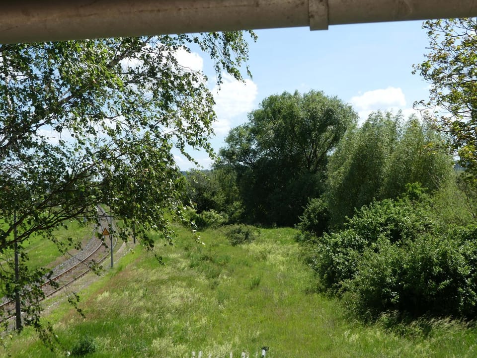 Natural landscape