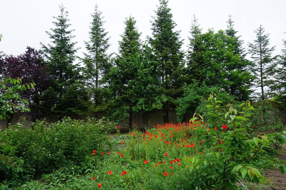 Garden view, Garden view