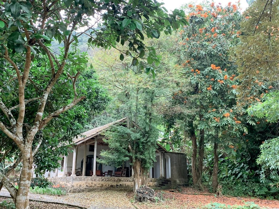 Ancient House Cat Ba House in Laos