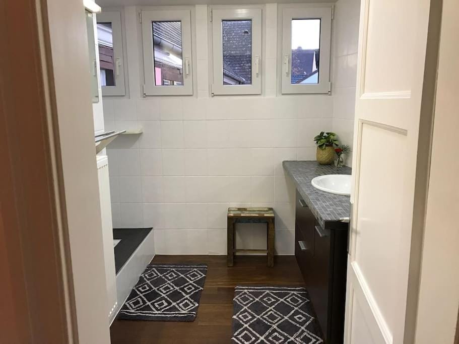 * La Petite Alsacienne * Apartment in Grand Est