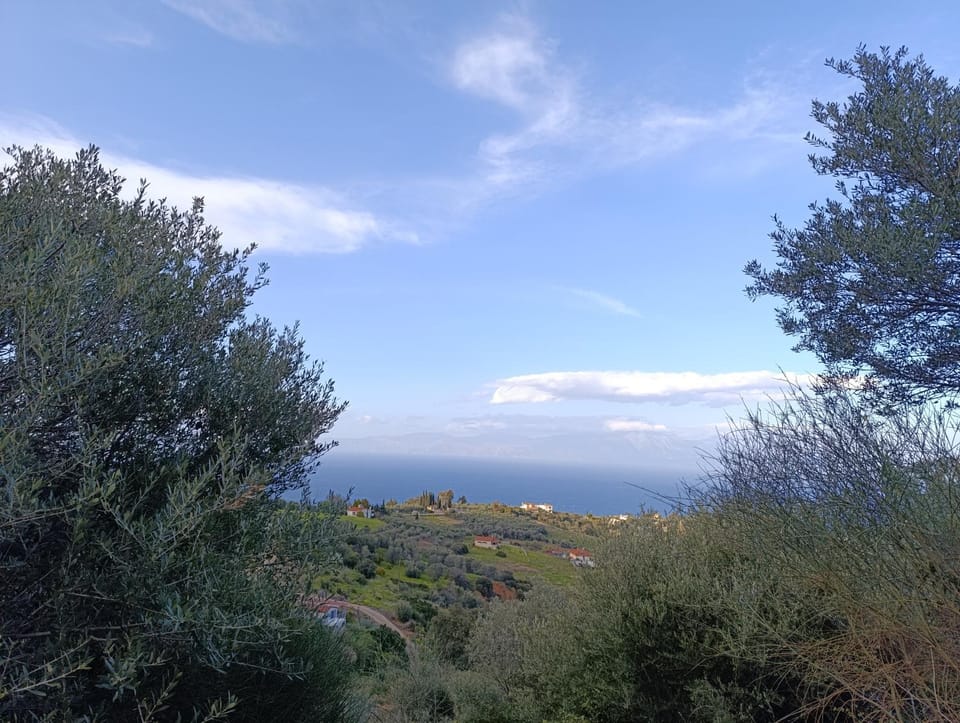 Natural landscape, Sea view