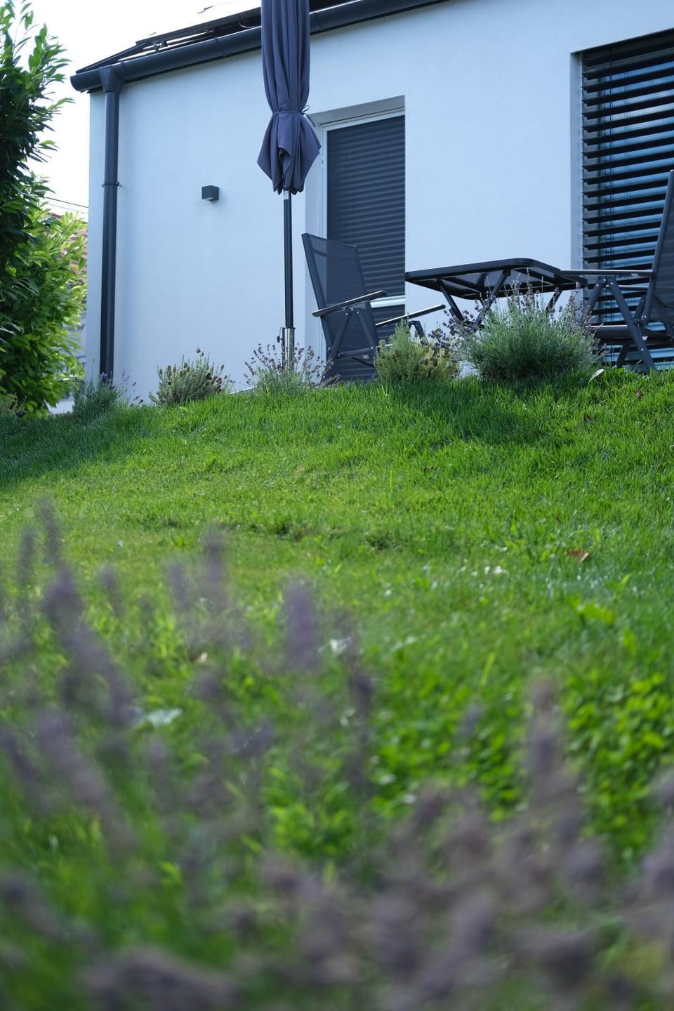 Patio, Spring, Garden, Garden view