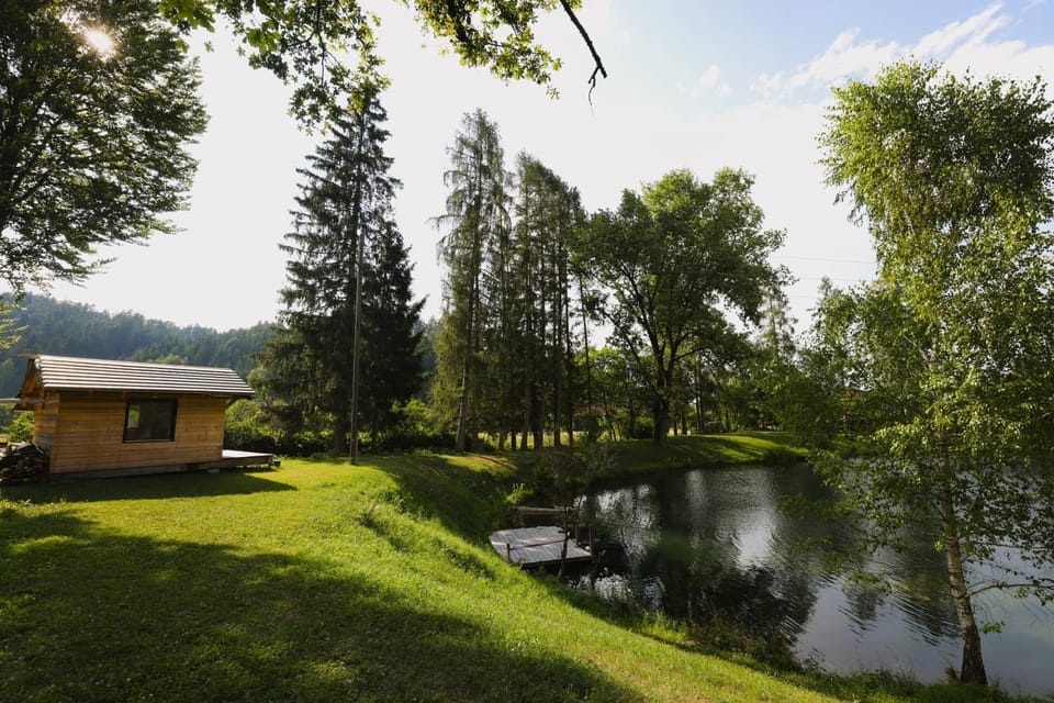 Garden, Garden, Garden view
